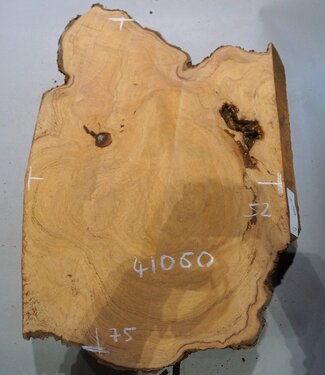 Hymenolobium flavum Maser, ca. 750 x 520 x 55 mm, 41060