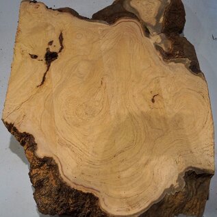 Hymenolobium flavum burl, approx. 750 x 520 x 55 mm, 41060