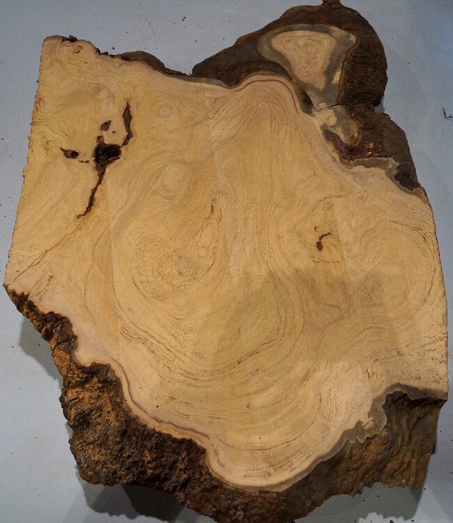 Hymenolobium flavum Maser, ca. 750 x 520 x 55 mm, 41060