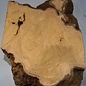 Hymenolobium flavum burl, approx. 750 x 520 x 55 mm, 41060