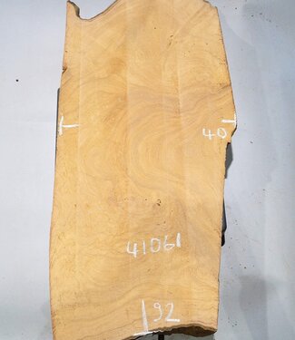 Hymenolobium flavum Maser, ca. 920 x 400 x 55 mm, 41061