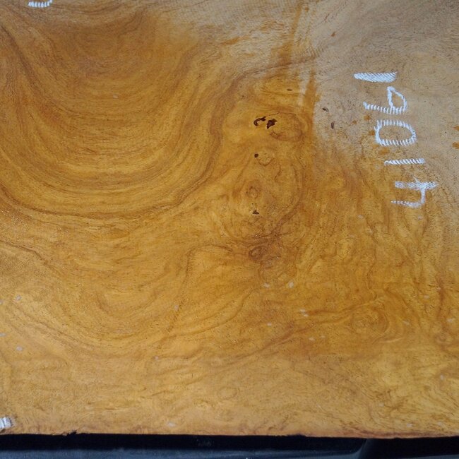 Hymenolobium flavum burl, approx. 920 x 400 x 55 mm, 41061
