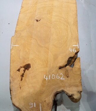 Hymenolobium flavum Maser, ca. 910 x 460 x 55 mm, 41062