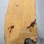 Hymenolobium flavum Maser, ca. 910 x 460 x 55 mm, 41062