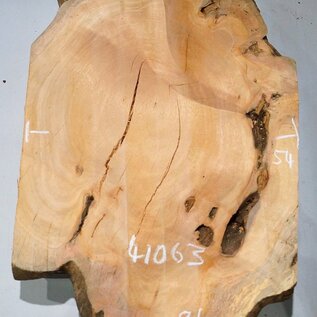 Hymenolobium flavum burl, approx. 860 x 540 x 45 mm, 41063