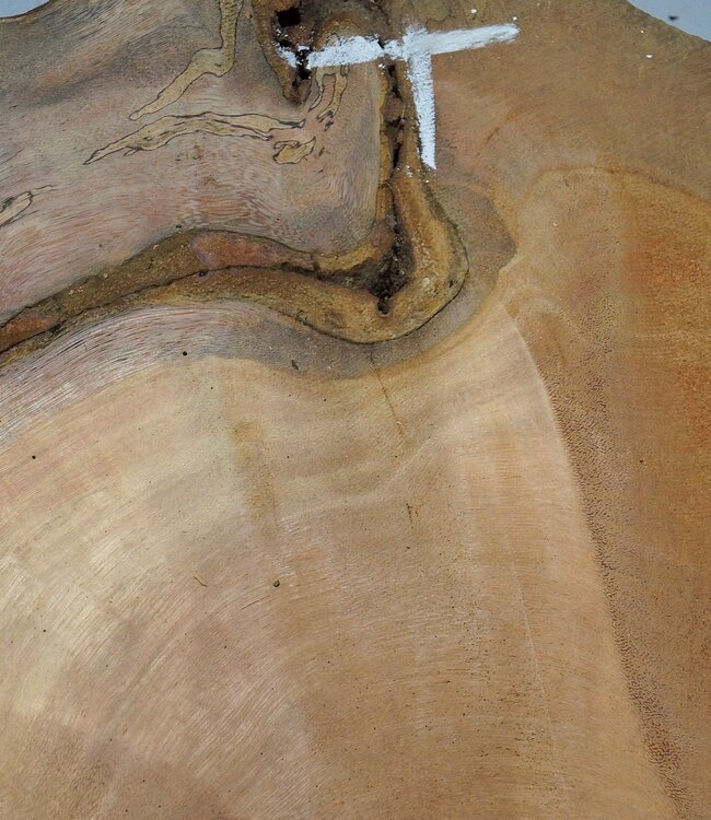 Hymenolobium flavum burl, approx. 860 x 540 x 45 mm, 41063