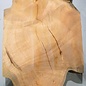 Hymenolobium flavum burl, approx. 860 x 540 x 45 mm, 41063