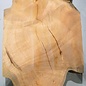 Hymenolobium flavum Maser, ca. 860 x 540 x 45 mm, 41063