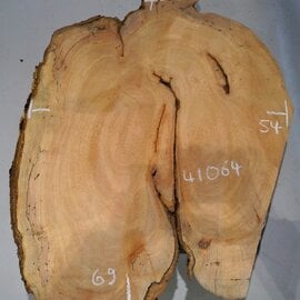 Hymenolobium flavum burl, approx. 690 x 540 x 45 mm, 41064