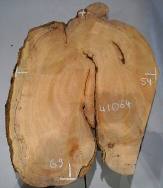 Hymenolobium flavum Maser, ca. 690 x 540 x 45 mm, 41064