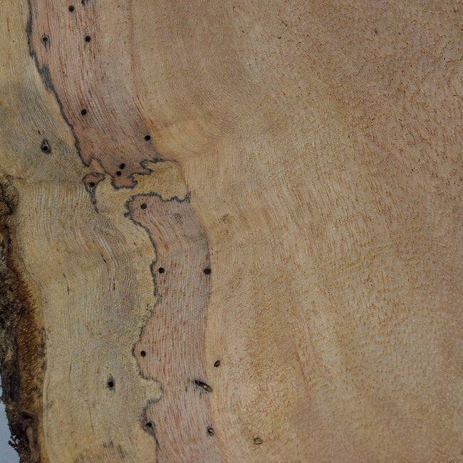 Hymenolobium flavum Maser, ca. 690 x 540 x 45 mm, 41064