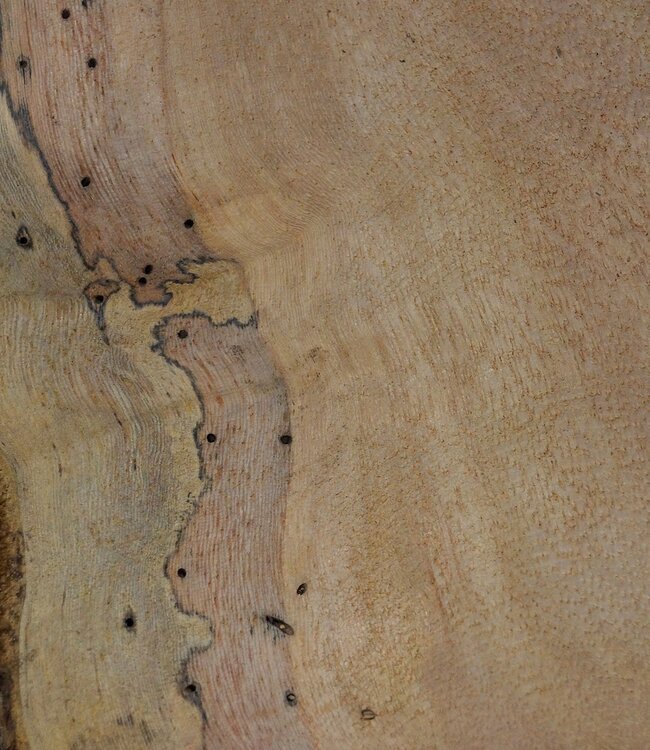 Hymenolobium flavum Maser, ca. 690 x 540 x 45 mm, 41064