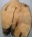Hymenolobium flavum burl, approx. 690 x 540 x 45 mm, 41064