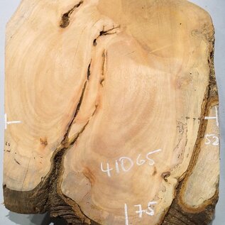 Hymenolobium flavum burl, approx. 750 x 520 x 45 mm, 41065