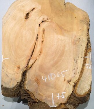 Hymenolobium flavum Maser, ca. 750 x 520 x 45 mm, 41065