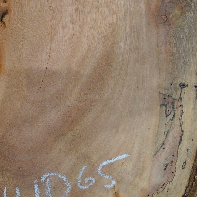 Hymenolobium flavum burl, approx. 750 x 520 x 45 mm, 41065