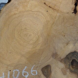 Hymenolobium flavum burl, approx. 540 x 410 x 45 mm, 41066