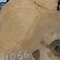Hymenolobium flavum Maser, ca. 540 x 410 x 45 mm, 41066