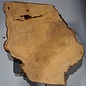 Hymenolobium flavum burl, approx. 540 x 410 x 45 mm, 41066