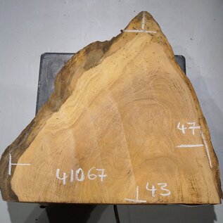 Hymenolobium flavum Maser, ca. 470 x 430 x 45 mm, 41067