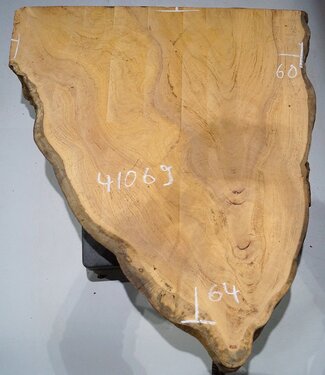 Hymenolobium flavum burl, approx. 640 x 600 x 45 mm, 41069