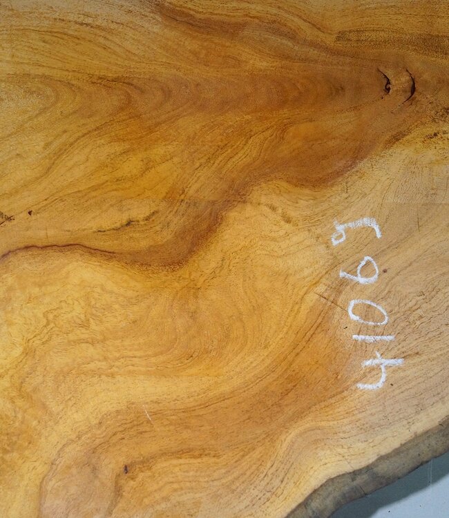 Hymenolobium flavum Maser, ca. 640 x 600 x 45 mm, 41069