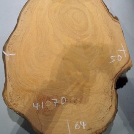 Hymenolobium flavum burl, approx. 640 x 500 x 45 mm, 41070