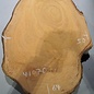 Hymenolobium flavum Maser, ca. 640 x 500 x 45 mm, 41070