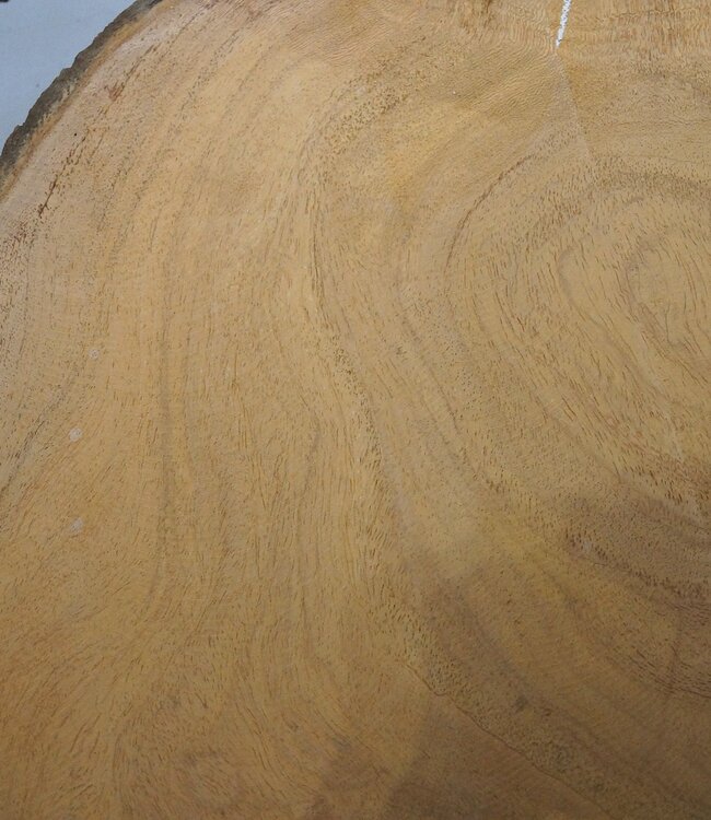 Hymenolobium flavum Maser, ca. 640 x 500 x 45 mm, 41070