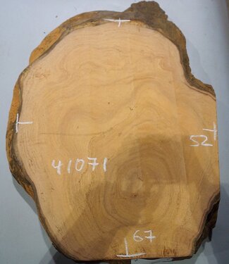 Hymenolobium flavum Maser, ca. 670 x 520 x 50 mm, 41071