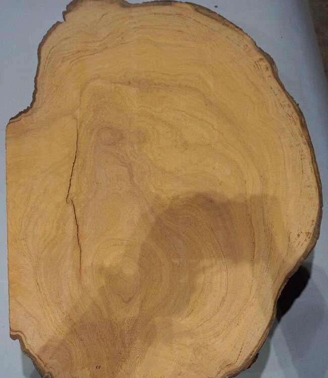 Hymenolobium flavum Maser, ca. 670 x 520 x 50 mm, 41071