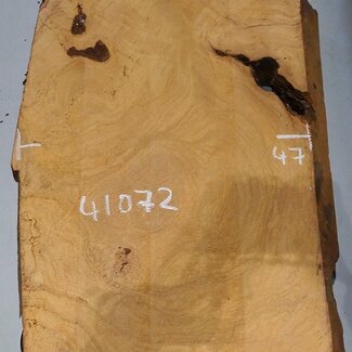 Hymenolobium flavum burl, approx. 910 x 470 x 55 mm, 41072
