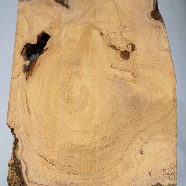 Hymenolobium flavum burl, approx. 910 x 470 x 55 mm, 41072