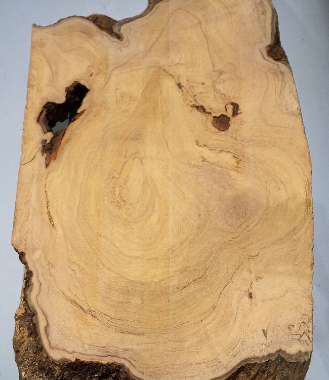 Hymenolobium flavum Maser, ca. 910 x 470 x 55 mm, 41072