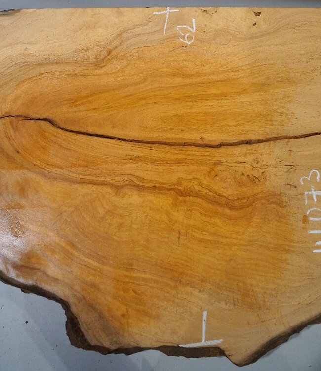 Hymenolobium flavum Maser, ca. 990 x 620 x 45 mm, 41073