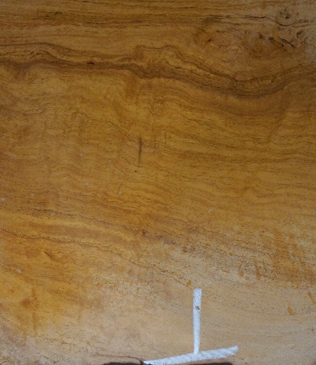 Hymenolobium flavum Maser, ca. 990 x 620 x 45 mm, 41073