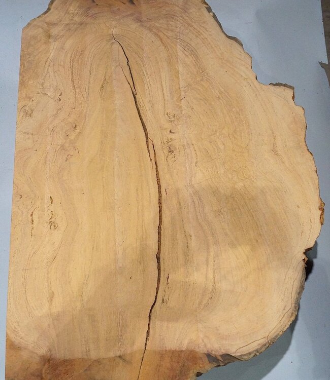 Hymenolobium flavum Maser, ca. 990 x 620 x 45 mm, 41073