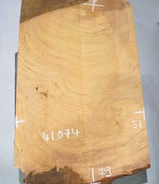 Hymenolobium flavum Maser, ca. 790 x 510 x 45 mm, 41074