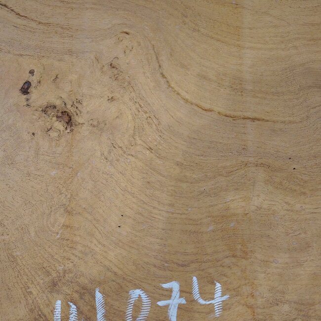 Hymenolobium flavum Maser, ca. 790 x 510 x 45 mm, 41074