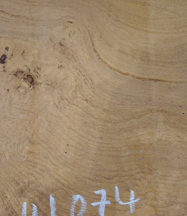 Hymenolobium flavum Maser, ca. 790 x 510 x 45 mm, 41074