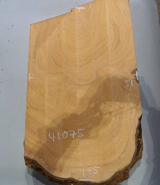 Hymenolobium flavum burl, approx. 850 x 510 x 45 mm, 41075