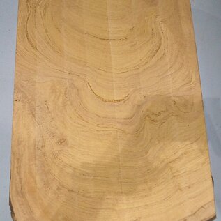 Hymenolobium flavum burl, approx. 850 x 510 x 45 mm, 41075