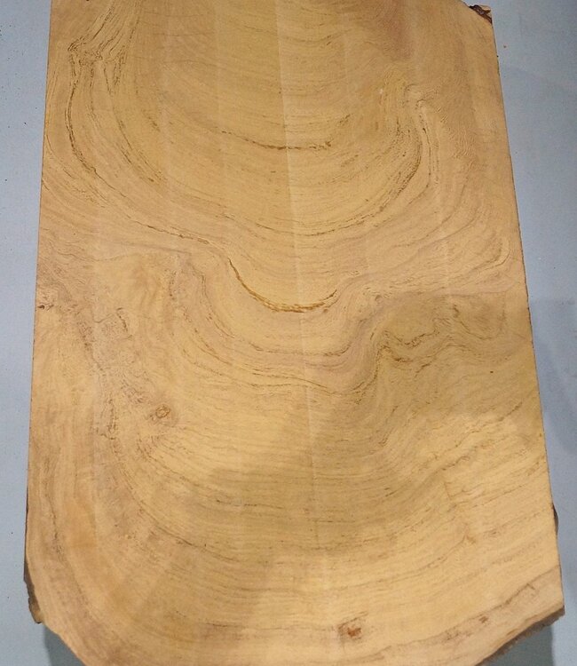 Hymenolobium flavum Maser, ca. 850 x 510 x 45 mm, 41075