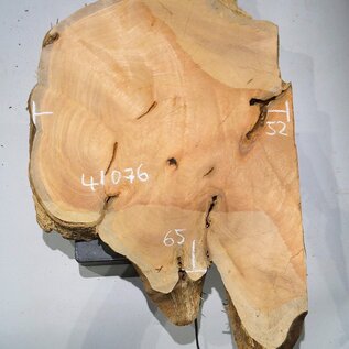 Hymenolobium flavum burl, approx. 850 x 510 x 45 mm, 41075