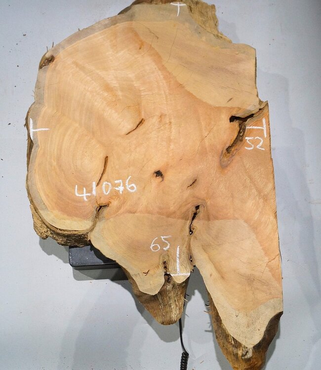 Hymenolobium flavum Maser, ca. 850 x 510 x 45 mm, 41075
