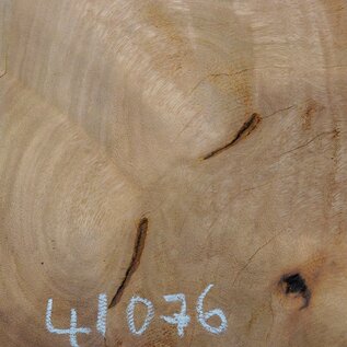 Hymenolobium flavum burl, approx. 650 x 520 x 35 mm, 41076