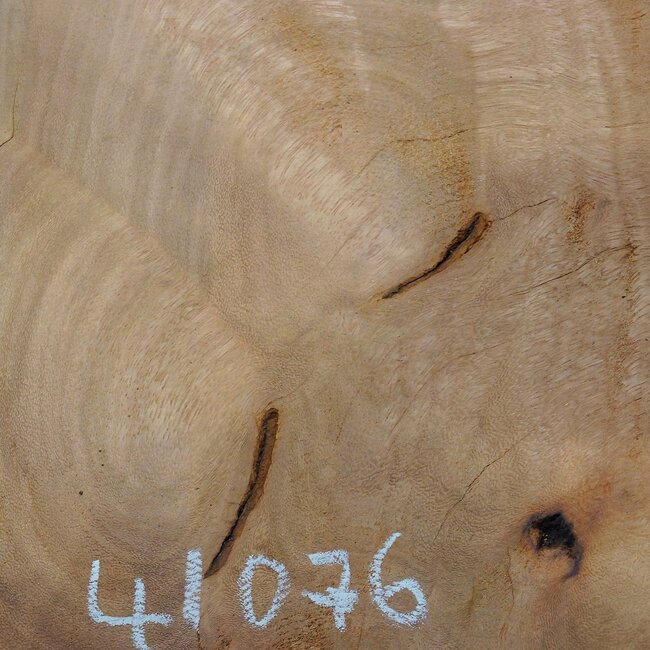 Hymenolobium flavum burl, approx. 650 x 520 x 35 mm, 41076