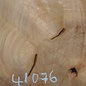 Hymenolobium flavum Maser, ca. 650 x 520 x 35 mm, 41076