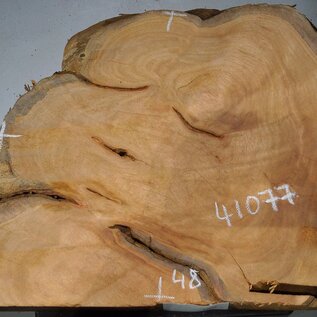 Hymenolobium flavum burl, approx. 590 x 480 x 35 mm, 41077