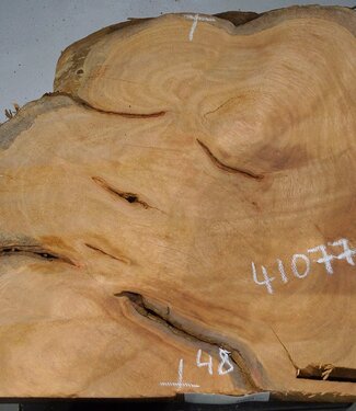 Hymenolobium flavum Maser, ca. 590 x 480 x 35 mm, 41077